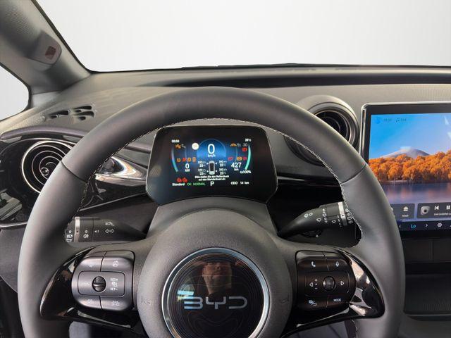 BYD Dolphin G Design/LEDER/360&deg;/PANO-DA/ACC/SHZ 