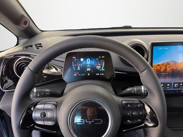 BYD Dolphin Design/LEDER/360&deg;/PANO-DA/ACC/SHZ 