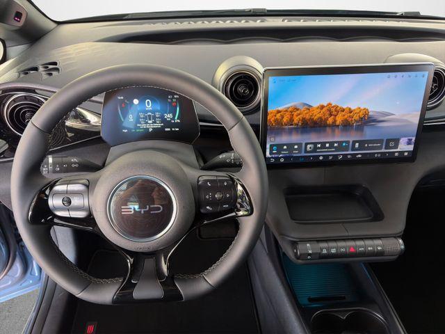 BYD Dolphin Design/LEDER/360&deg;/PANO-DA/ACC/SHZ 