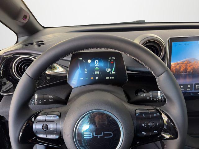 BYD Dolphin Comfort/LEDER/360&deg;/ACC/SHZ 