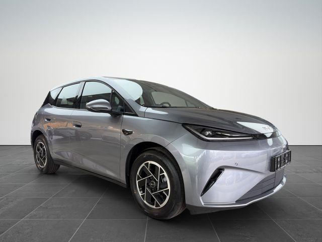 BYD Dolphin G DM-i Active /LED/ACC/RFK/SOFORT 