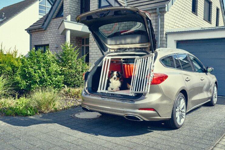 Warum Schäferhund Emil bei der Entwicklung des Ford Focus Turnier-Laderaums eine wichtige Rolle spielte