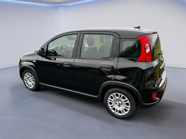 Fiat Panda 1.0 Mild Hybrid Pandina 