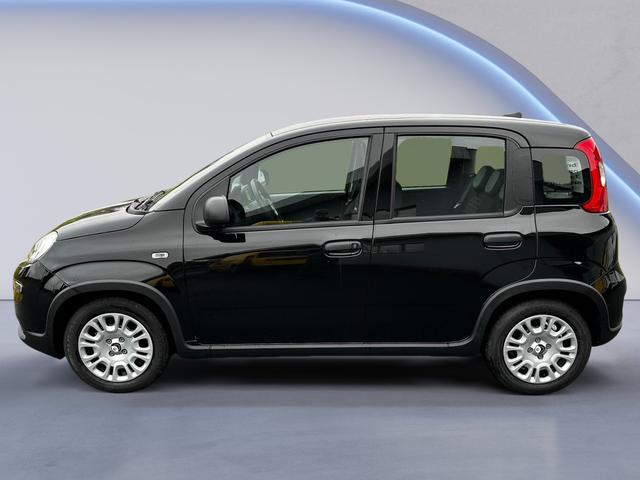 Fiat Panda - 1.0 Mild Hybrid Pandina