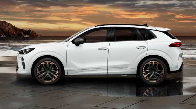 Cupra Terramar 2.0 TSI 195 kW 4Drive VZ Terramar VZ 2.0 TSI 4Drive Head-Up+Sennheiser+360° Kamera uvm! 