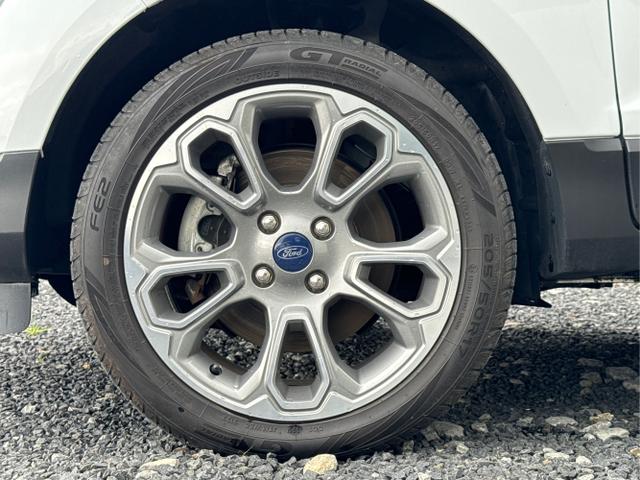 Ford / EcoSport / Weiß / / / 1.0 EcoBoost*PDC/LM/SHZ/TEMP/APPLE