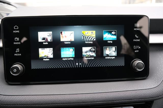 Skoda Fabia Selection Grau 