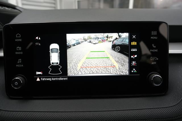 Skoda Fabia Selection Grau 
