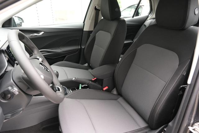 Skoda Fabia Selection Grau 