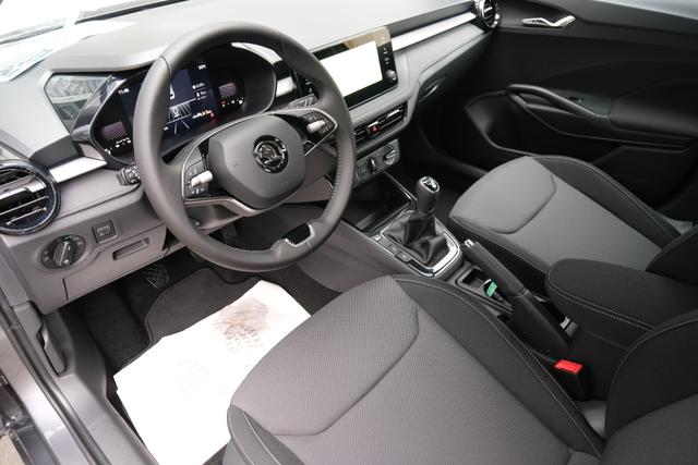 Skoda Fabia Selection Grau 