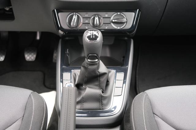 Skoda Fabia Selection Grau 