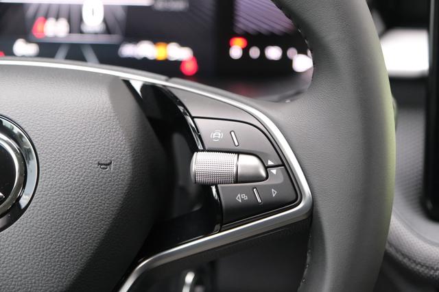 Skoda Fabia Selection Grau 