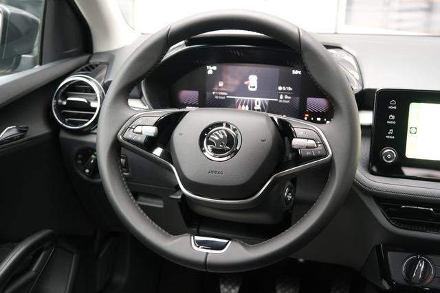 Skoda Fabia Selection Grau 