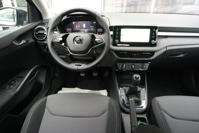 Skoda Fabia Selection Grau 