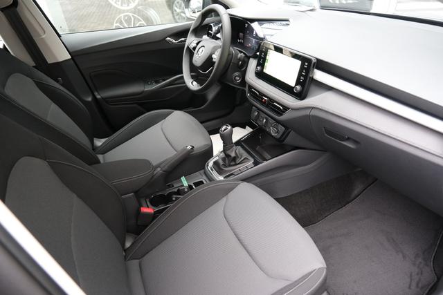 Skoda Fabia Selection Grau 