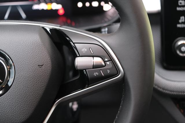 Skoda Fabia Selection Weiß 