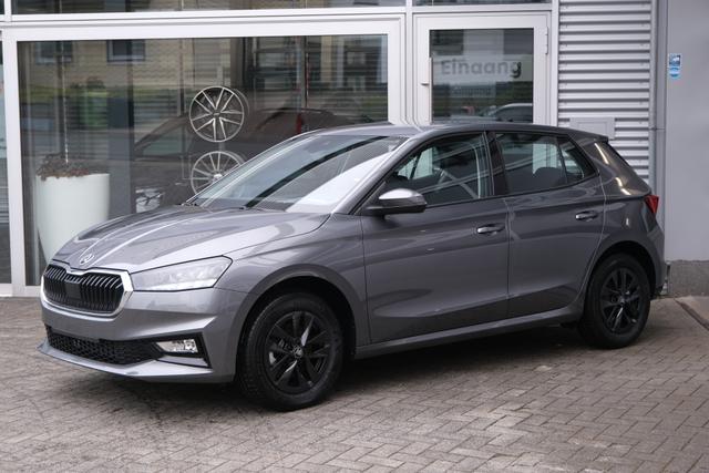 Skoda Fabia Selection Grau 