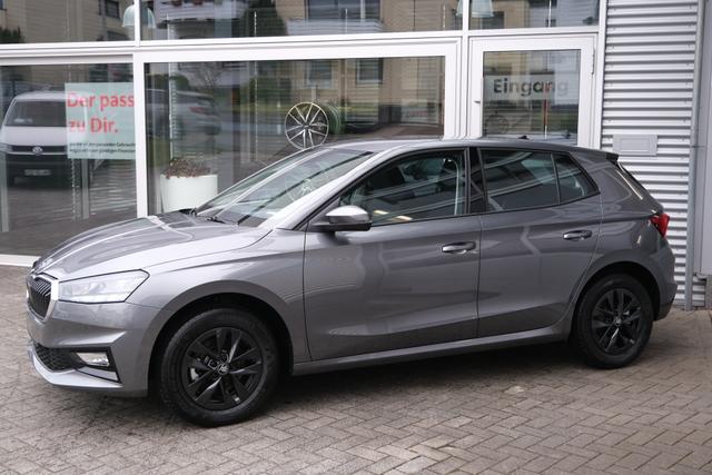 Skoda Fabia Selection Grau 