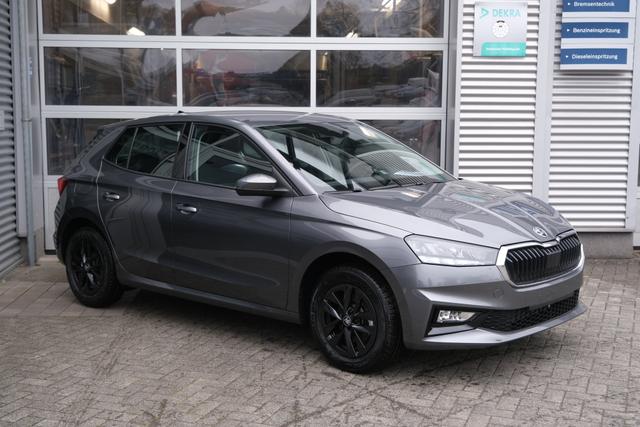 Skoda Fabia Selection Grau 