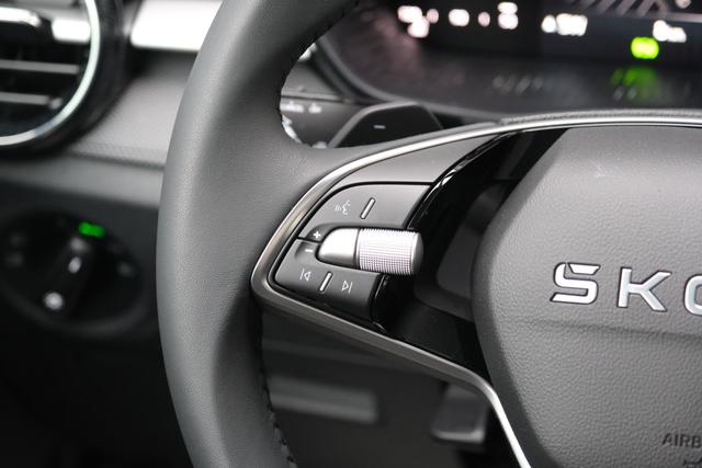 Skoda Fabia Selection 1.0 TSI DSG LED Kamera App-Navi PDC Winterpaket 