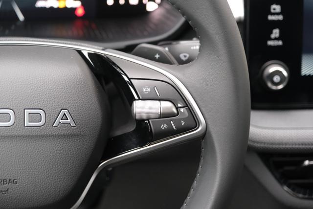 Skoda Fabia Selection 1.0 TSI DSG LED Kamera App-Navi PDC Winterpaket 