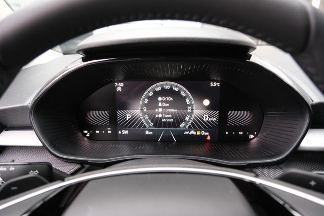 Skoda Fabia Selection Grau 