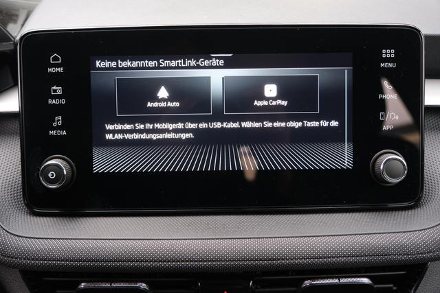 Skoda Fabia Selection 1.0 TSI DSG LED Kamera App-Navi PDC Winterpaket 