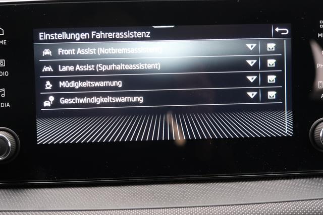 Skoda Fabia Selection Grau 