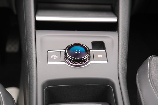 VW Tiguan Life Delfingrau Metallic 
