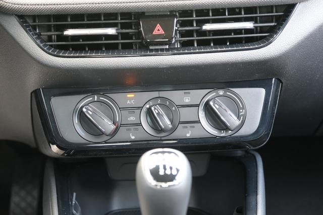 Skoda Fabia Selection Grau 