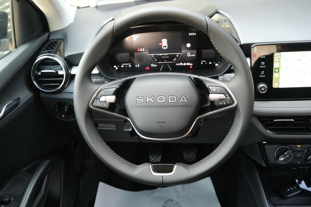 Skoda Fabia Selection Grau 