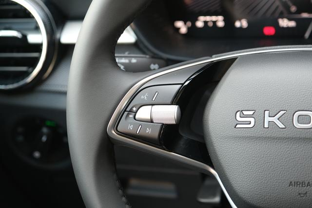 Skoda Fabia Selection Grau 