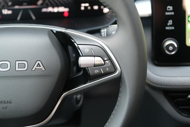 Skoda Fabia Selection Grau 