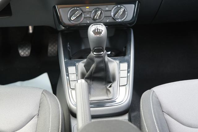 Skoda Fabia Selection Grau 