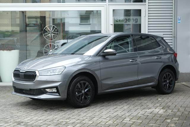 Skoda Fabia Top Selection Grau 