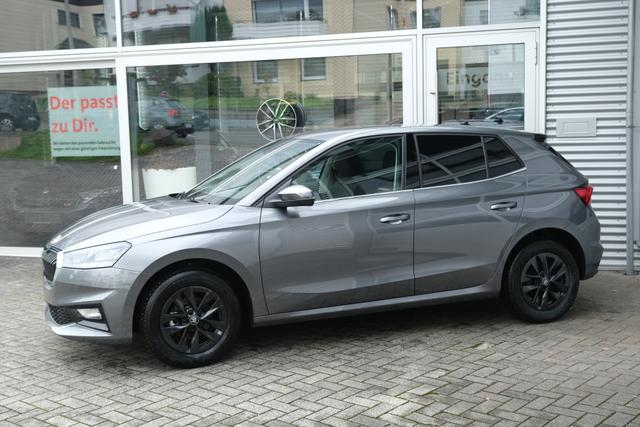Skoda Fabia Top Selection Grau 