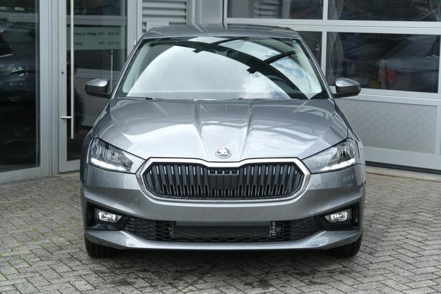 Skoda Fabia Top Selection Grau 