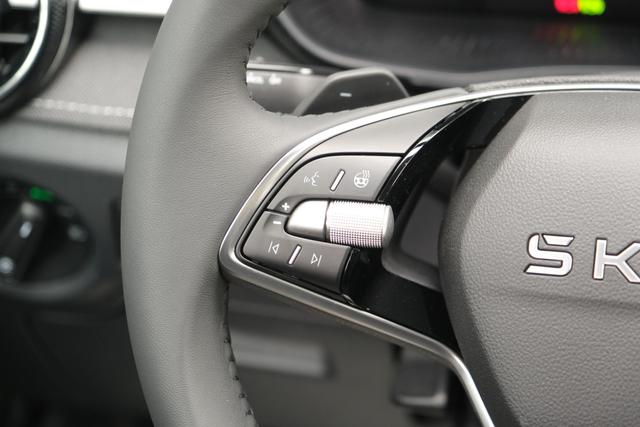 Skoda Fabia Top Selection Grau DSG 