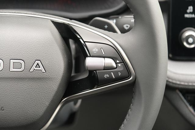 Skoda Fabia Top Selection Grau DSG 