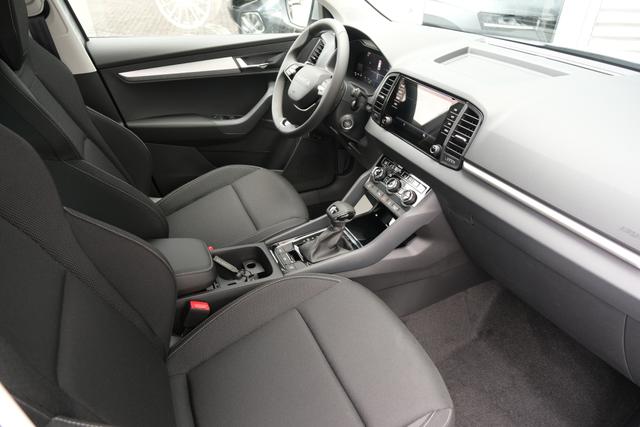 Skoda Karoq TDI DSG Graphite Grau 
