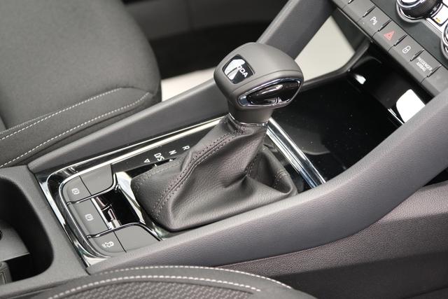 Skoda Karoq TDI DSG Graphite Grau 