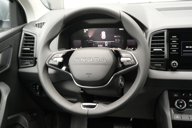Skoda Karoq TDI DSG Graphite Grau 