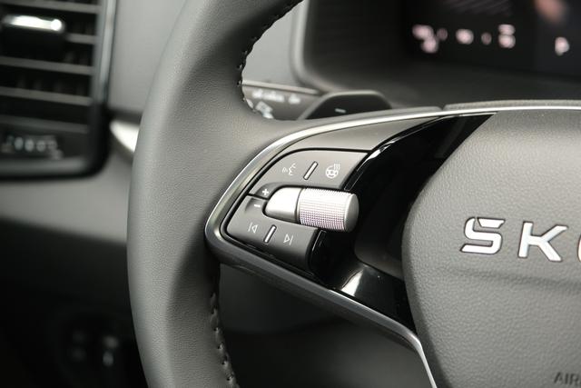 Skoda Karoq TDI DSG Graphite Grau 