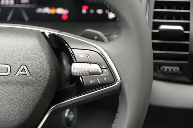Skoda Karoq TDI DSG Graphite Grau 