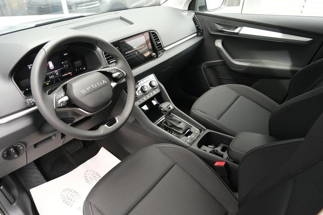 Skoda Karoq TDI DSG Graphite Grau 