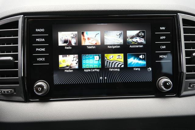 Skoda Karoq TDI DSG Graphite Grau 