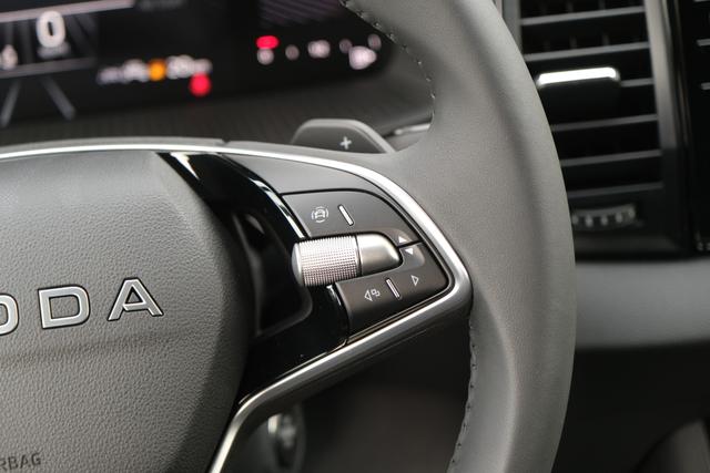 Skoda karoq TDI DSG Black Magic 