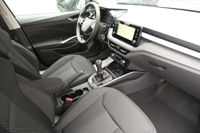 Skoda Fabia Top Selection Grau 