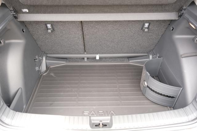 Skoda Fabia Top Selection Grau 