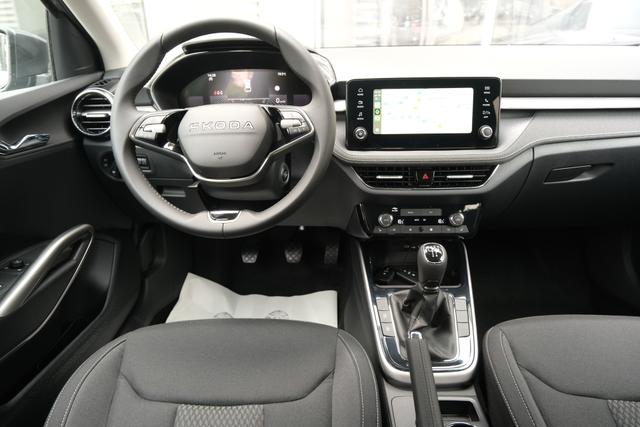 Skoda Fabia Top Selection Grau 